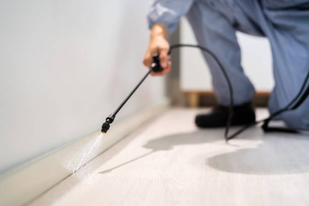 Licensed Mosquito Control service in Richmond, IN - Show Me Pest Control