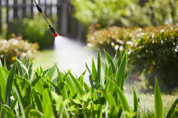 24/7 Emergency Mosquito Control experts in Richmond, IN